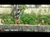 Man dead after lion mauling at Brazil zoo