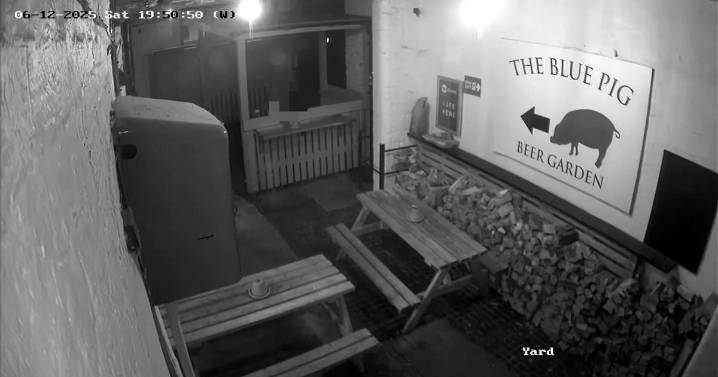 ‘Grinch’ steals cardboard Santa from pub