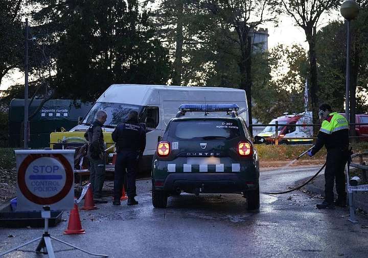 España crea un comité científico para controlar el brote de peste porcina africana