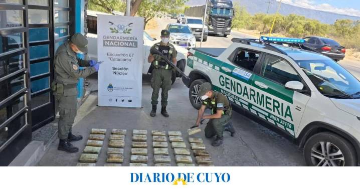 Hallaron más de 65 kilos de marihuana en un colectivo que iba a pasar por San Juan