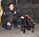 Buffalo Police mourn loss of retired K9 Georgie, honored for years of service