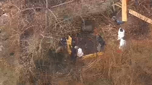 Human skull found off Coney Island boardwalk, search continues in shrubs for more remains