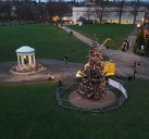 Shrewsbury's fallen Christmas tree is back in place - 24 hours after being felled by Storm Bram