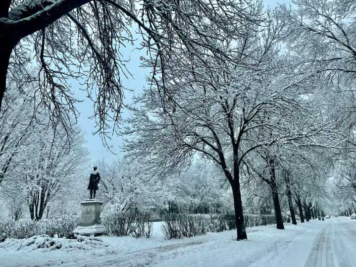 How much snow fell in Minnesota during Tuesday's winter storm?