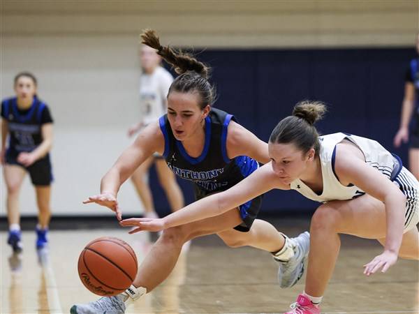 Anthony Wayne girls basketball downs Napoleon in battle of preseason NLL divisional favorites
