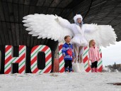 Calgary photographers around town for the December 12