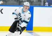 Mammoth Recall Daniil But, Reassign Dmitri Simashev