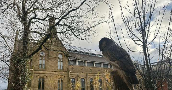 Oldham calls for crackdown on badly behaved councillors