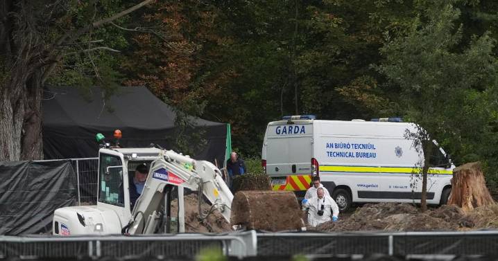 Homicide probe launched into death of child in Dublin