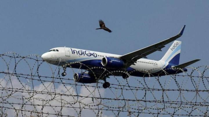 Indigo Airlines Faces Turbulence: Internal Disputes, Operational Hiccups, and the Struggle of India’s Largest Carrier