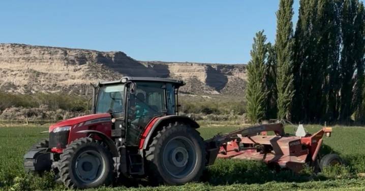 Dejaron la fruticultura para producir alfalfa, hoy manejan 140 hectáreas propias y alquiladas y prestan servicio a más de 200 ha de terceros