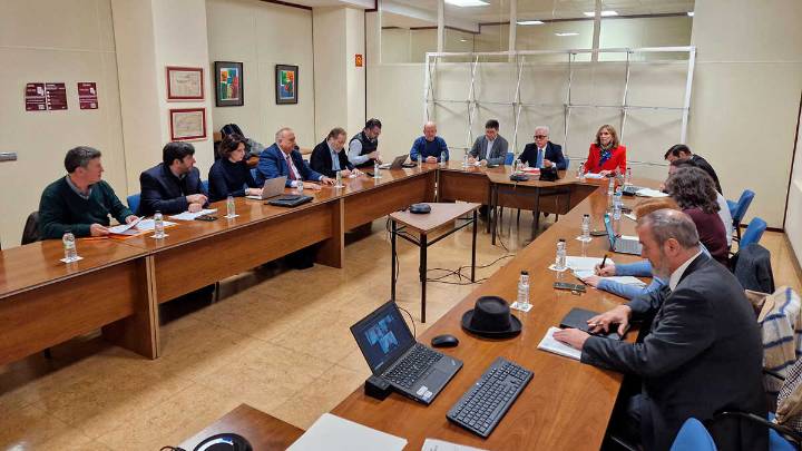 El Comité de Expertos en peste porcina africana (PPA) celebra su primera reunión