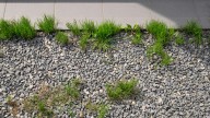 The Easy, Affordable Way To Prevent Weeds In Gravel For A Clean, Beautiful Landscape