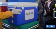 Órgano de niña donante fallecida se perdió por falta de aeronave para su traslado del Bío Bío a la RM