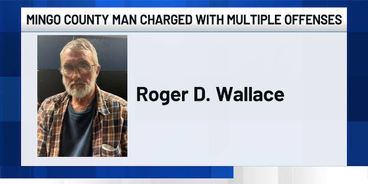 Mingo County man charged with multiple offenses