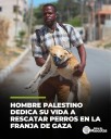 El hombre que dedica su vida a rescatar perros en Gaza