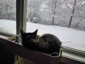 PHOTOS: Winter wonderland covers the Miami Valley