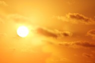 Lee County restarts outdoor burn ban as reinvigorated drought stokes wildfire concerns for  2026