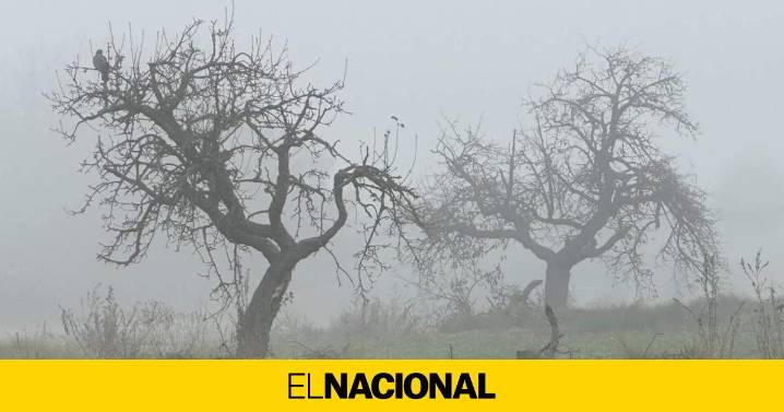 Se confirma la mala noticia, Catalunya entra en racha seca: ¿cuándo volverá la lluvia?