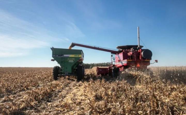 El Gobierno anunció otra baja de retenciones al campo