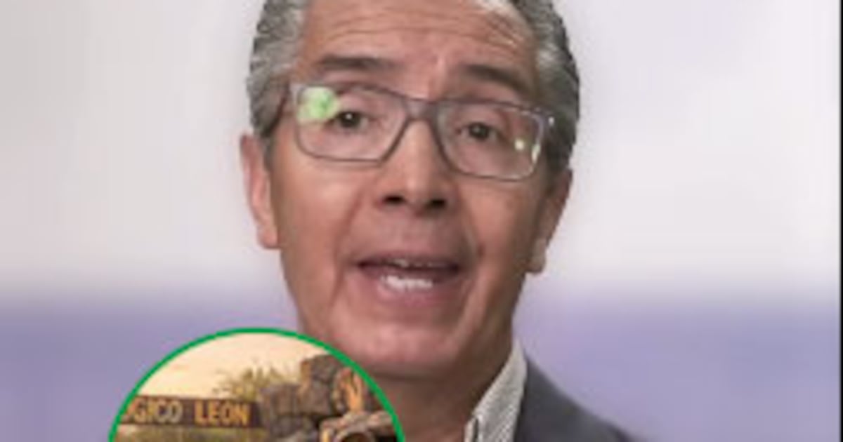 “No fue accidental”: ataque de jauria en Zoo León apunta a que los perros fueron enviados hacia los muflones