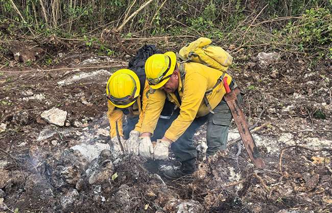 Advierte PC sobre riesgo de incendios forestales en sierra de Arteaga