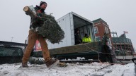 Northeast Wisconsin growers donate 300 Christmas trees to troops in Texas