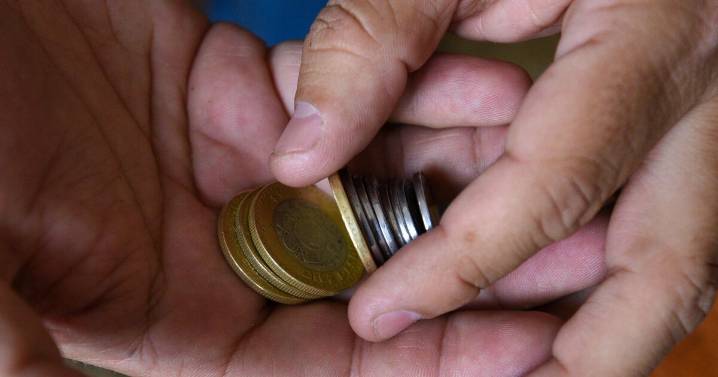 Senado avala nuevos diseños para las monedas de 10 y 20 pesos