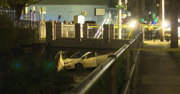 SHOPO issues statement on Honolulu City Council’s vote to authorize settlement of teen boy shot dead by police