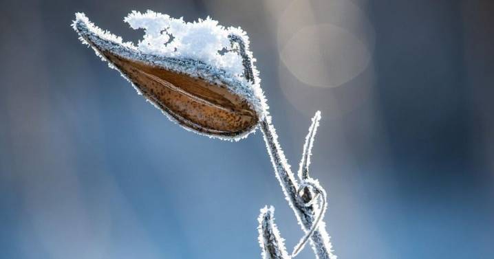 Cold start to the week in Niagara