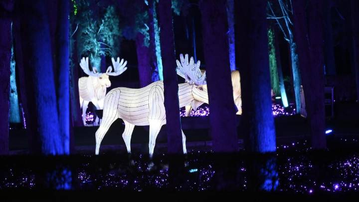El espectáculo de luces navideñas del Parque Grande, de nuevo en el centro de la polémica: "Cobran entrada pero no pagan ni un euro"