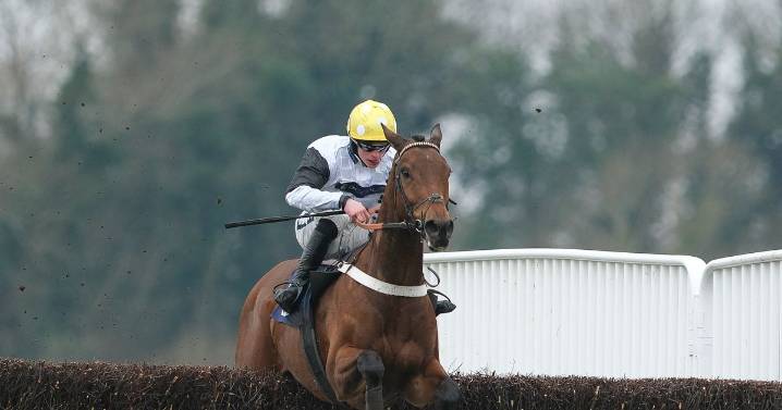 Newsboy’s ITV selections for Cheltenham plus tips from Friday’s other UK meetings