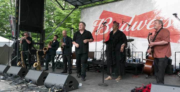 Beloved musician dead at 70 after being hit by driver with 100 previous arrests