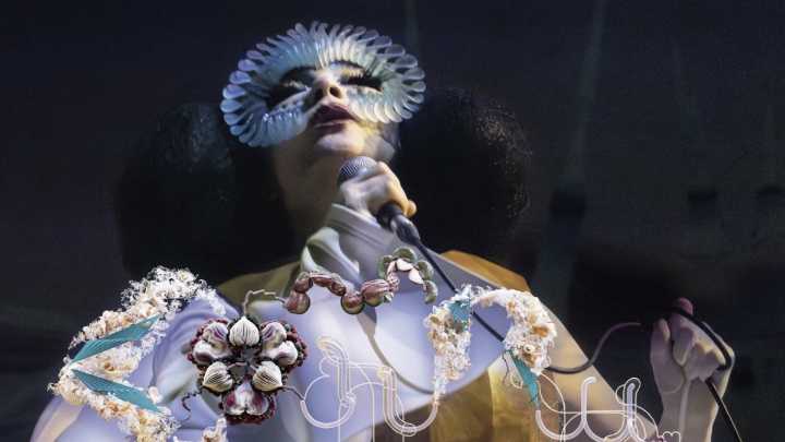 Björk Confirms New Album in Development for 2026 Exhibition
