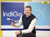 IndiGo CEO's BIG statement amid mass cancellations: 'Your airline is...'