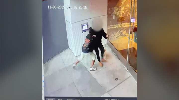 Suspect who attacked woman walking dog in DTLA in custody