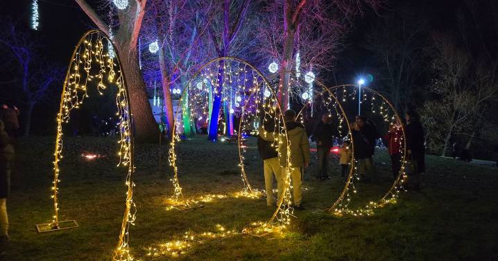 La luz de la Navidad llena de magia y encanto la Isla del Soto en Santa Marta