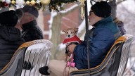 Winter market in Birmingham helps spread holiday cheer