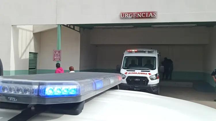 Menor de 12 años es atacado por perros en Nogales