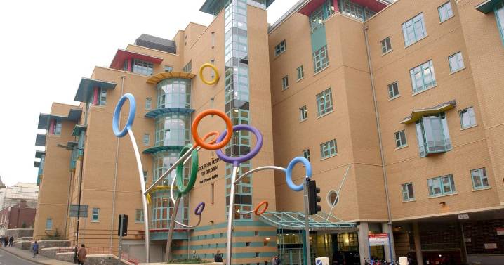 Special Gromit Unleashed Christmas lights display at Bristol Children's Hospital