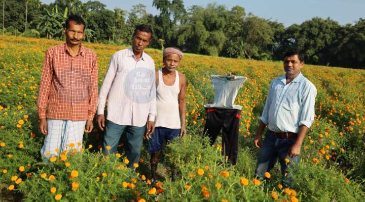 No space in Guwahati markets, Assam flower growers lose earnings to middlemen