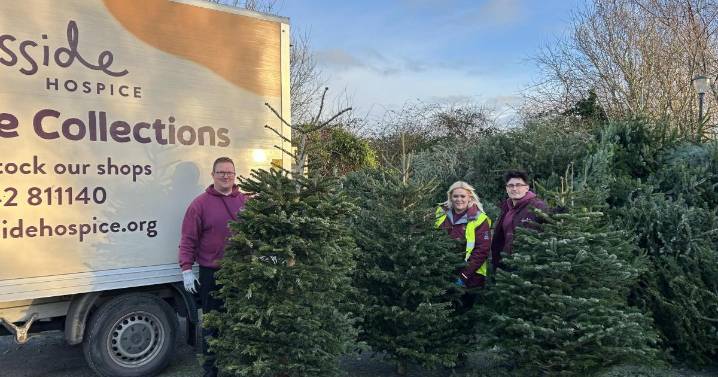 Teesside Hospice to bring back its Tree Cycle scheme