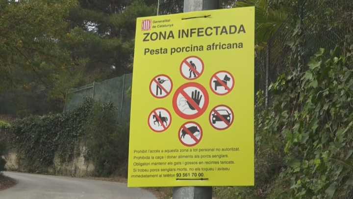 A UME activa a despregadura de 117 efectivos para conter o gromo de peste porcina