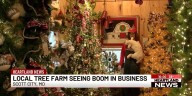 Local tree farm seeing boom in business