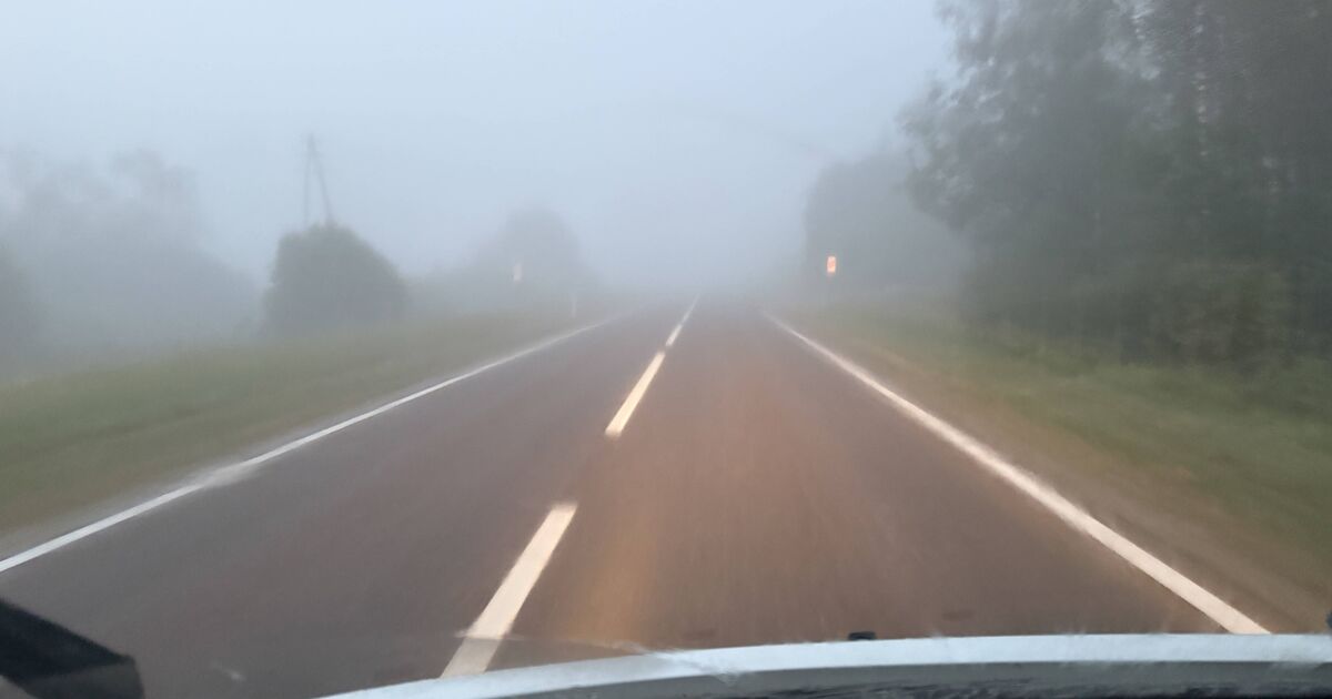 Little-known button in car can defog windscreen in 10 seconds