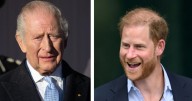 King Charles's true feelings about Prince Harry's recent appearances laid bare 