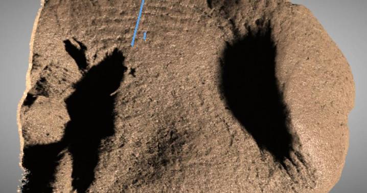 Archaeologists have discovered clues about origin of famous Hjortspring boat