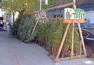 Cuánto cuestan los árboles de Navidad naturales en Nueva York