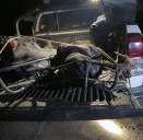 Cusco: volcadura de bus interprovincial en Espinar deja siete fallecidos y 35 heridos