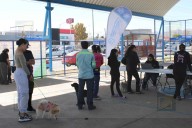 Acerca Municipio servicios gratuitos para animales de compañía a familias de Riberas de Sacramento